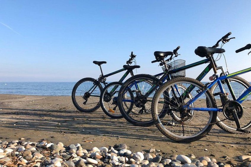 Bicycles parked on a sandy beach with pebbles in the foreground and the ocean in the background. 4