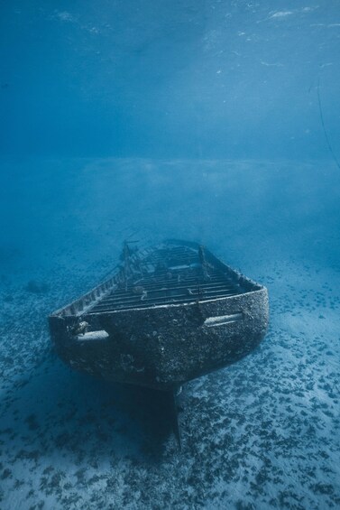 An underwater wreck with a conical structure and a flat base, surrounded by marine life. 2