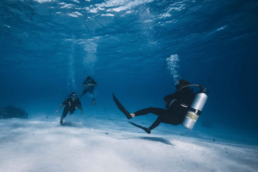 Three divers underwater with fins and a scuba tank. 3