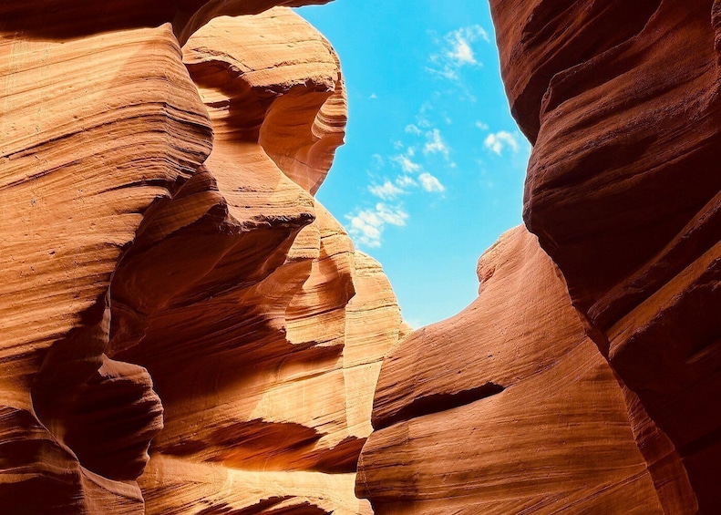 Un cañón con formaciones rocosas estratificadas y un cielo azul despejado. 3