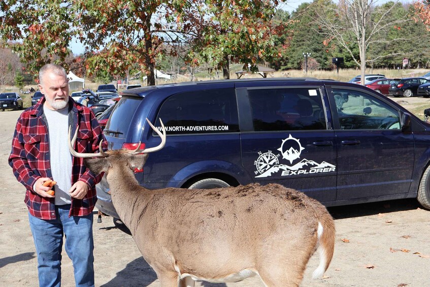 A man with a deer in a parking lot. 2