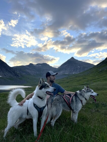 A person with two sled dogs on a grassy field with mountains in the background. 1