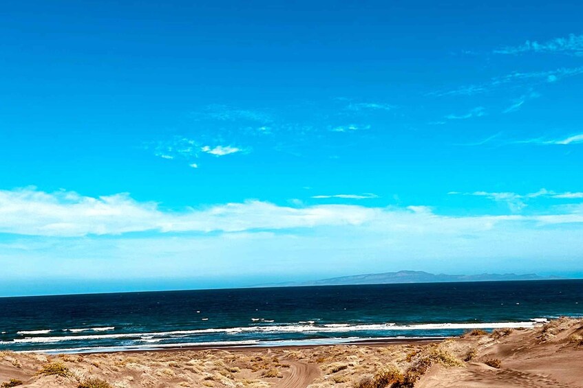 A coastal landscape with a clear sky, sandy beach, and ocean waves. 2