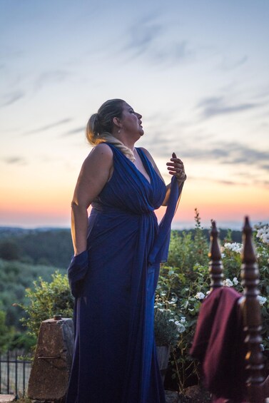 Una persona con un abito blu in piedi all'aperto con un tramonto sullo sfondo. 2