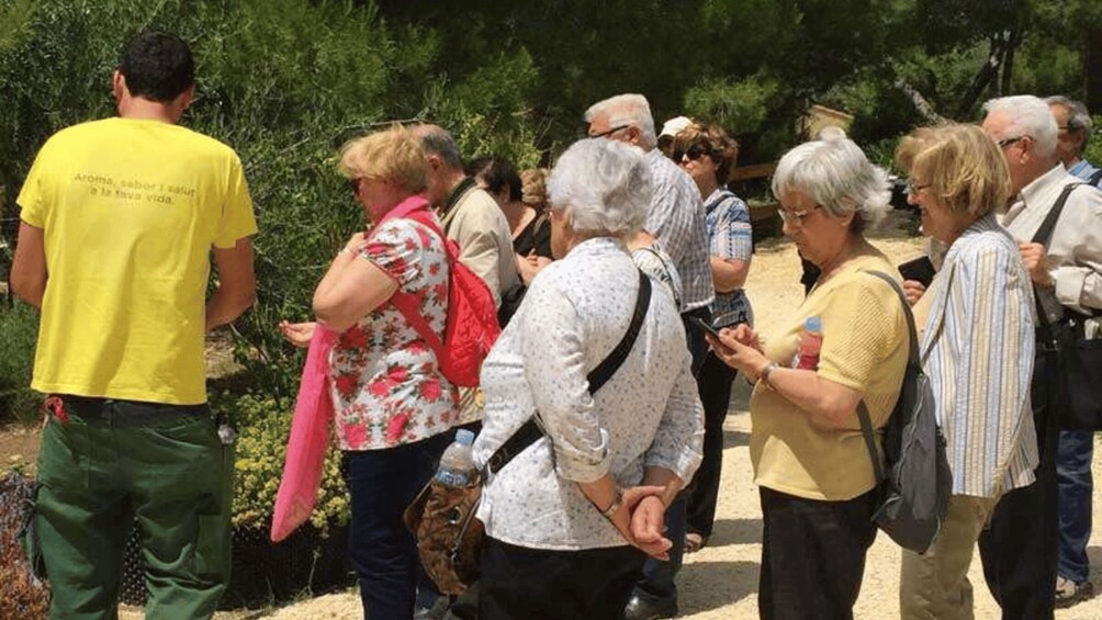 Picture 3 for Activity Ecoherbes - Guided Visit to the botanical garden 3