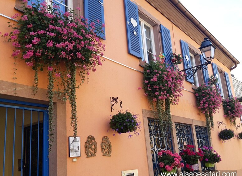 A building with orange walls, blue shutters, and hanging flower baskets with pink flowers. 5