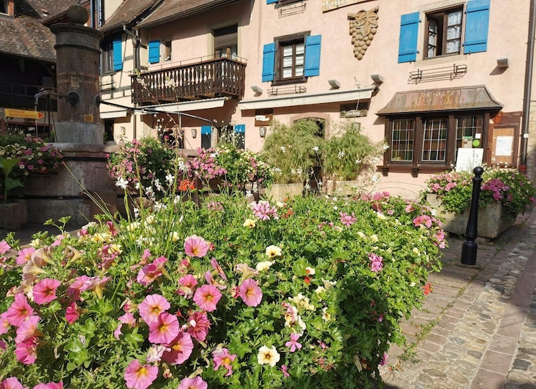A cobblestone street with flower boxes and a building with blue shutters. 1