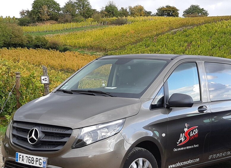 A Mercedes SUV parked in a vineyard. 4