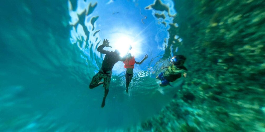 Two people scuba diving in a clear underwater tunnel. 1