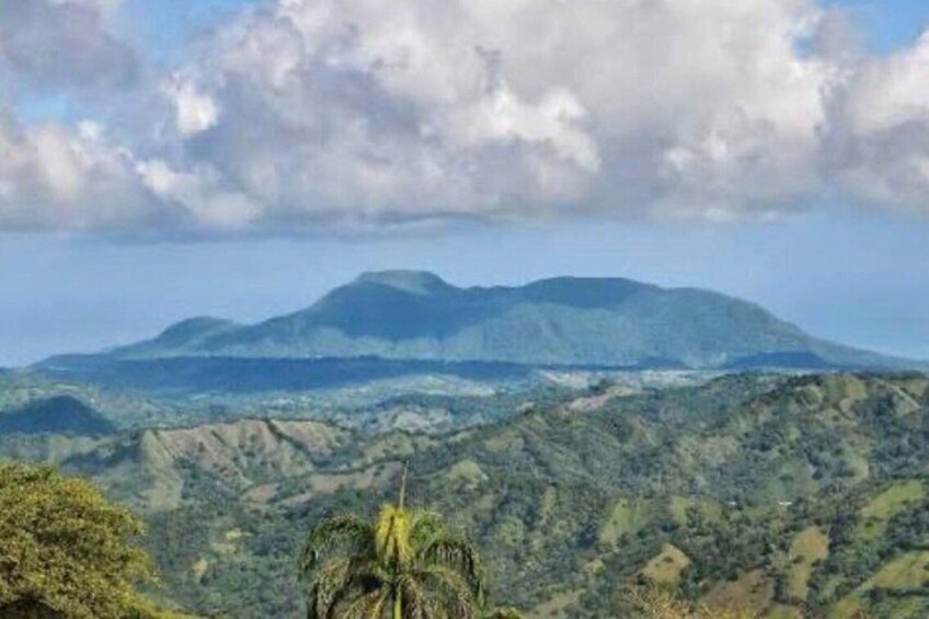 A mountain range with a prominent peak, lush green valleys, and a palm tree in the foreground. 4