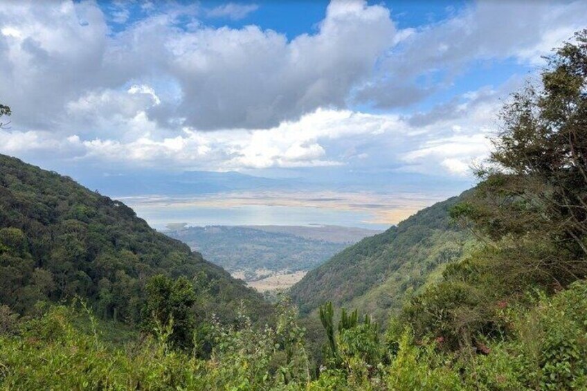 A valley with dense vegetation and a distant view of a coastline under a partly cloudy sky. 3
