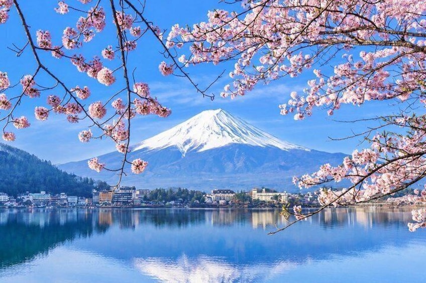 Mount Fuji and Lake Kawaguchi Small Group Minibus Tour from Tokyo 1