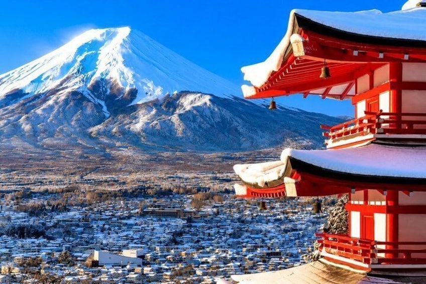 Mount Fuji and Lake Kawaguchi Small Group Minibus Tour from Tokyo 3