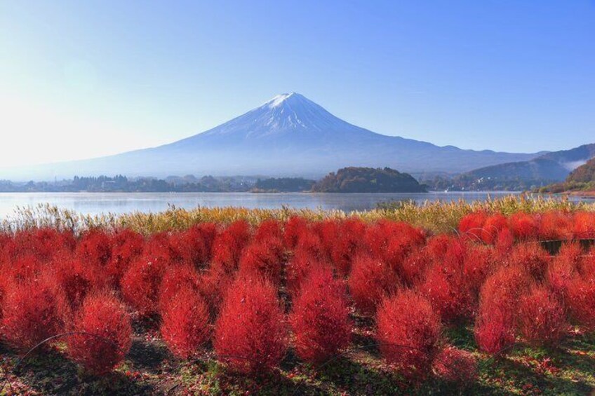A mountain, a lake, and red foliage. 5