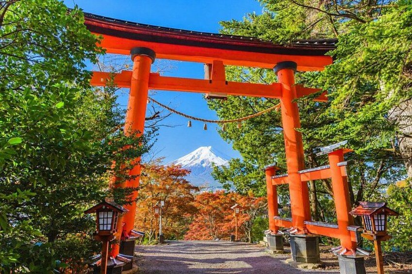 A traditional Japanese torii gate with a snow-capped mountain in the background. 5