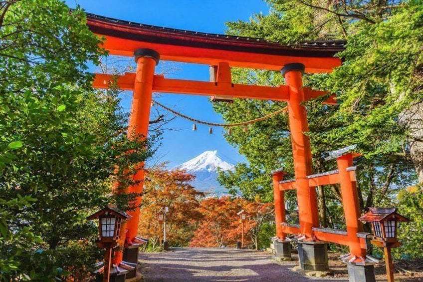 Mount Fuji and Lake Kawaguchi Small Group Minibus Tour from Tokyo 2