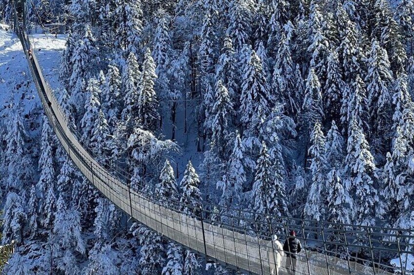 A snow-covered suspension bridge in a forest. 5