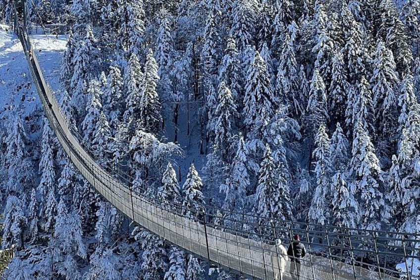 A snow-covered forest with a suspension bridge. 5