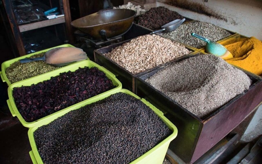 Various containers of grains and seeds. 3