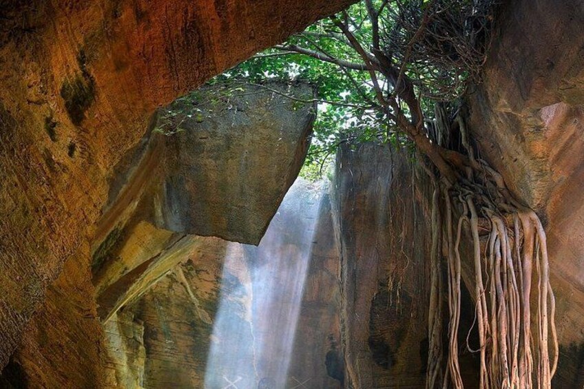 A large tree with hanging roots and a hanging rock formation. 5