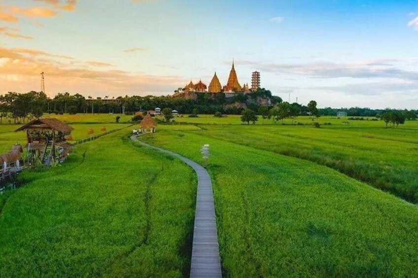 A lush green rice field with a wooden path leading to a temple complex with multiple spires. 3