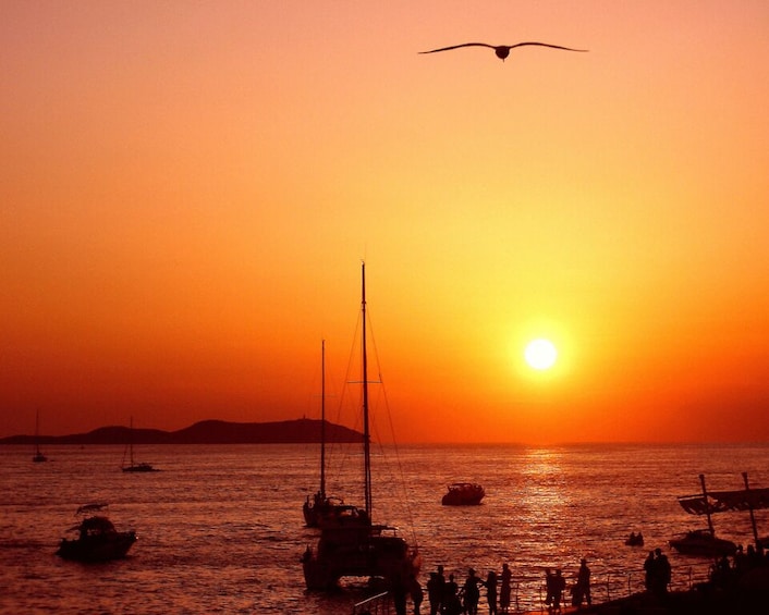 A sunset over a calm sea with boats and a seagull flying. 2
