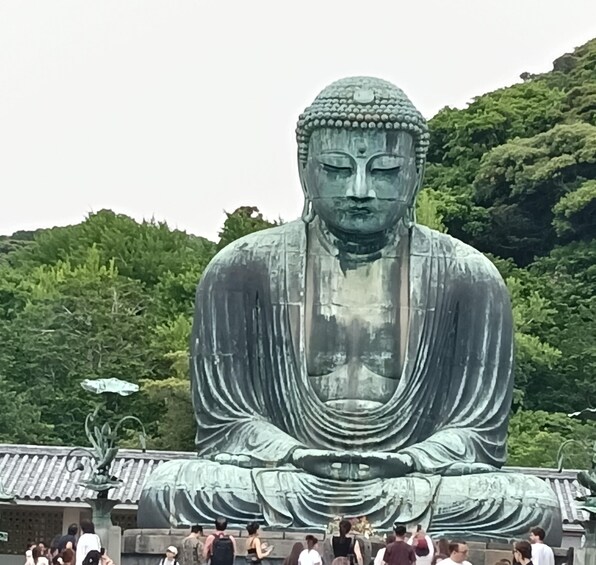 Picture 6 for Activity Kamakura: Hiking with Private Guide in Spanish 2