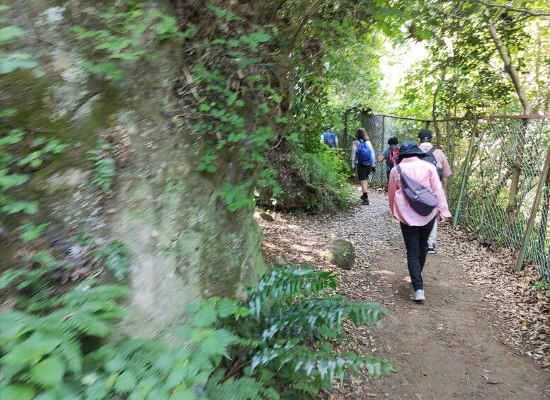 A forested hiking trail with hikers and a chain-link fence. 3
