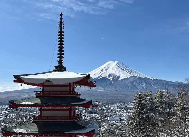 A pagoda with a snow-covered mountain in the background. 4