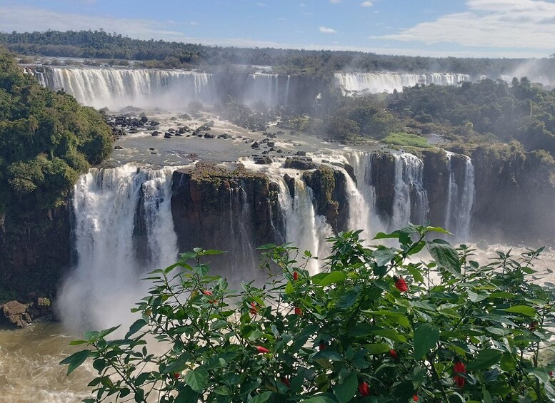 Picture 3 for Activity PRIVADO -Iguazú Falls Argentinean side + opção de barco 3