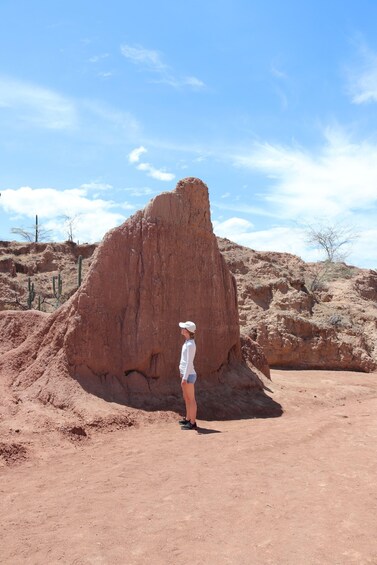 A person standing in front of a large red rock formation in a desert landscape. 4