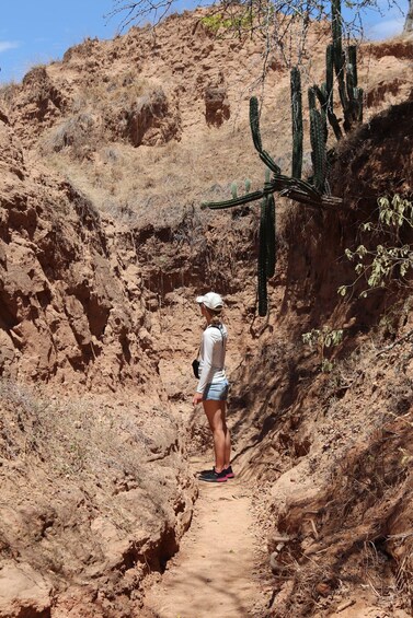 A person walking on a dirt trail in a desert landscape with cacti and rocky terrain. 2