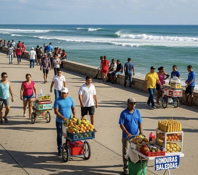 Picture 7 for Activity From San Pedro Sula: One way shared transfer to La Ceiba 3
