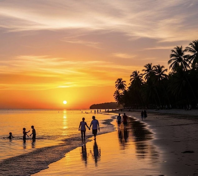 Picture 3 for Activity From San Pedro Sula: One way shared transfer to La Ceiba 5