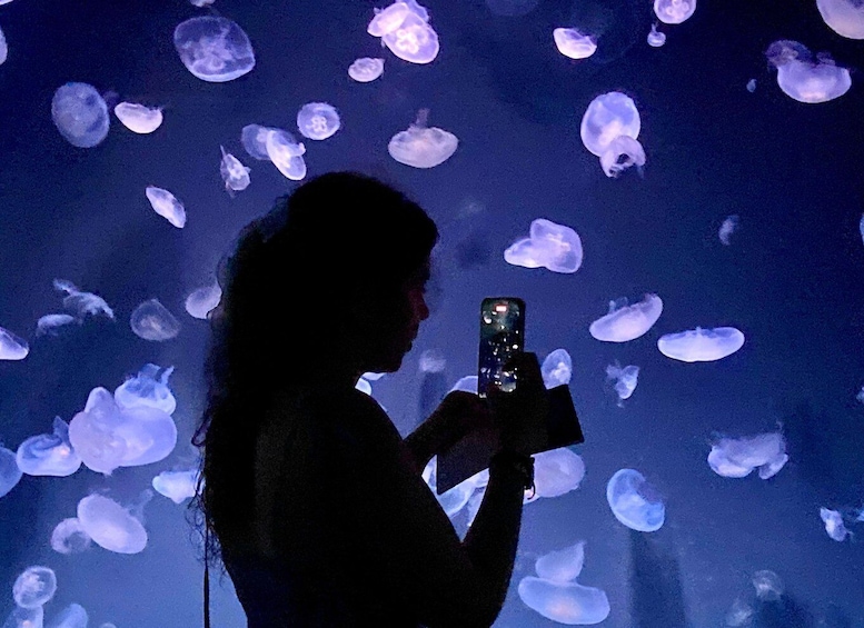 A person taking a photo with jellyfish in the background. 1