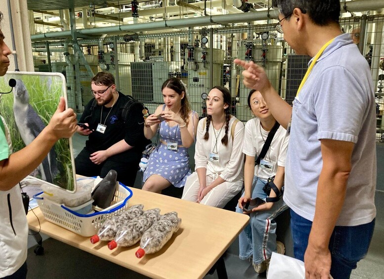 A group of people observing a display with a penguin and some wrapped items on a table. 5