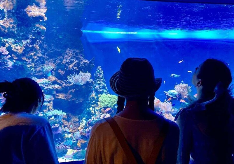 People observing an aquarium with various fish and coral reefs. 4