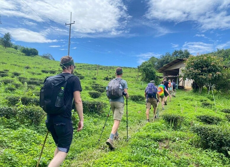 A group of hikers on a grassy hillside with a clear sky. 1