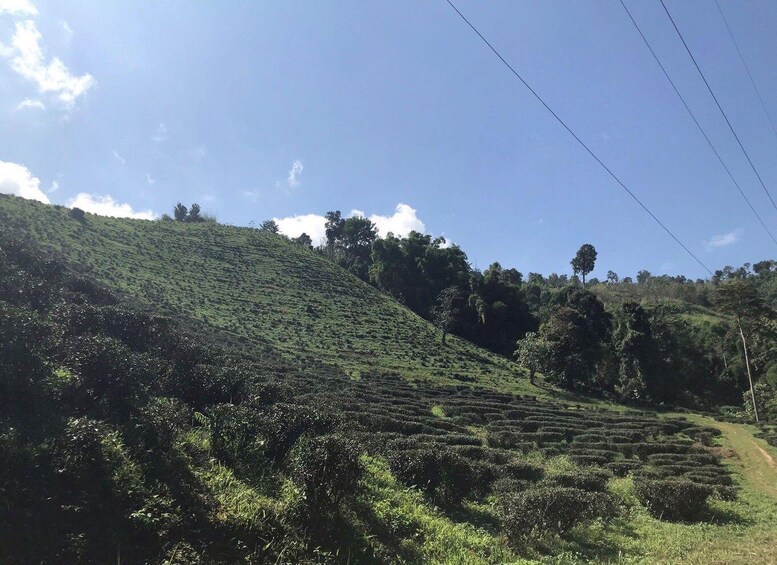 A hilly landscape with terraced fields and a clear sky. 3