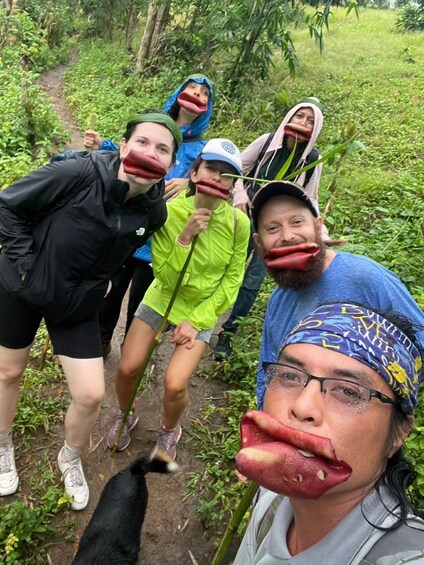 A group of people hiking on a dirt path surrounded by greenery. 1