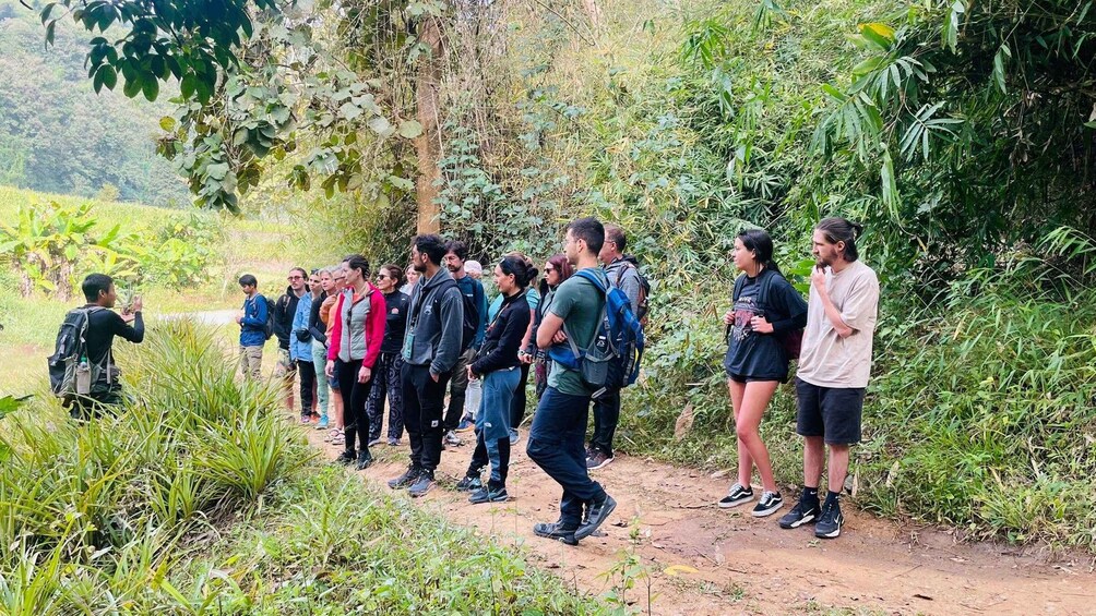 A group of people standing on a dirt path surrounded by greenery. 5