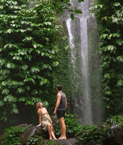 A waterfall surrounded by dense green foliage. 4