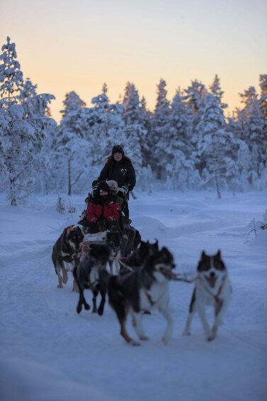 A person in a red jacket riding a sled pulled by huskies in a snowy forest. 4