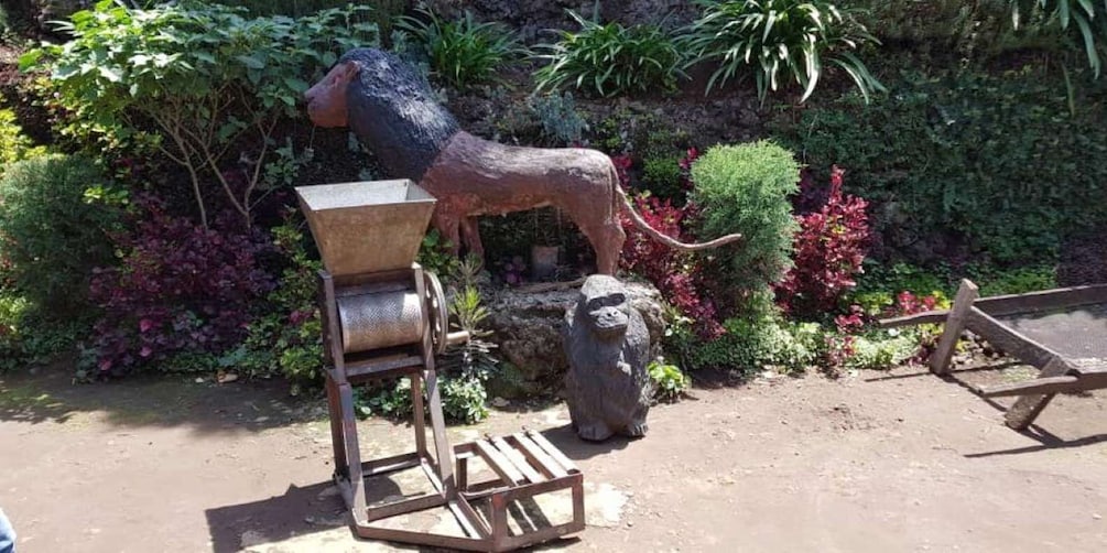 A sculpture of a lion with a grinding stone, set in a garden with various plants and a rock. 3