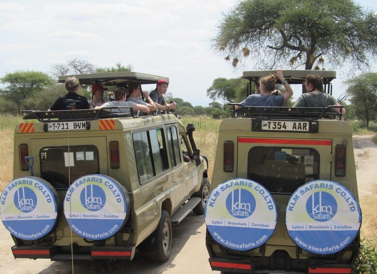 Two safari vehicles with passengers, branded with 'KLM SAFARIS CO. LTD' and 'www.klmsafaris.com'. 4