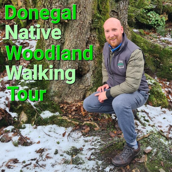 Donegal Native Woodland Walking Tour 2