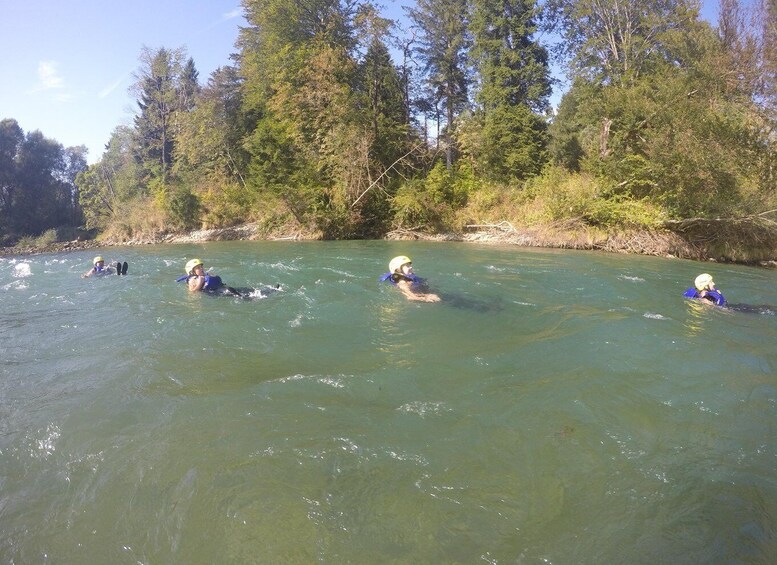 A group of people kayaking on a river surrounded by trees. 4