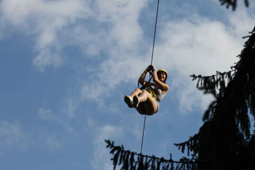 A person suspended in mid-air, attached to a rope, against a backdrop of a clear sky and tree branches. 5