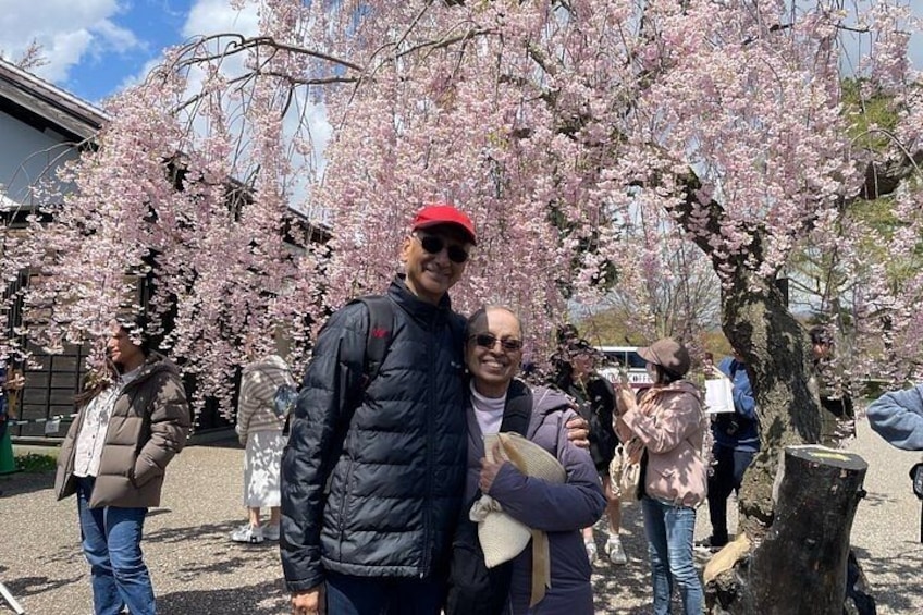 People standing under cherry blossom trees. 2