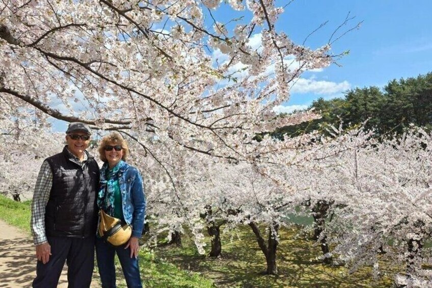 Two people standing under cherry blossom trees. 5